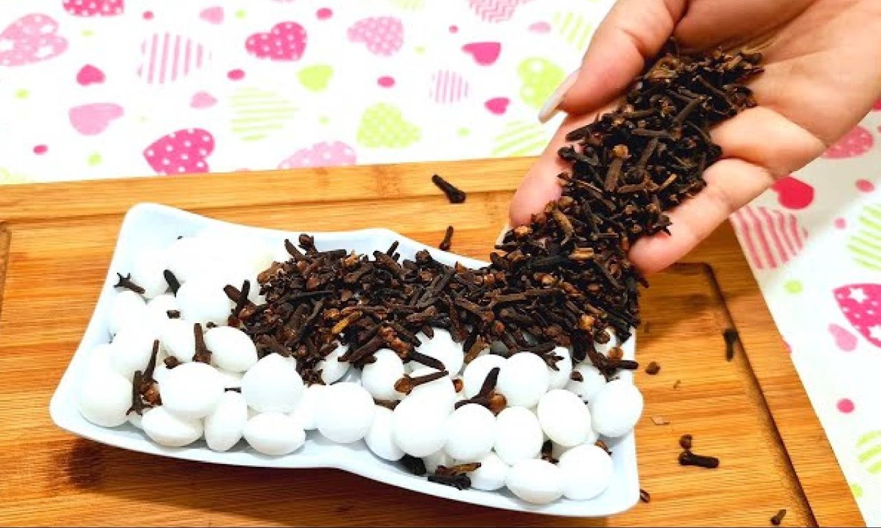 Soluções naturais e eficazes para acabar com a traça na sua casa