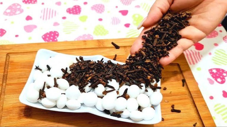 Soluções naturais e eficazes para acabar com a traça na sua casa