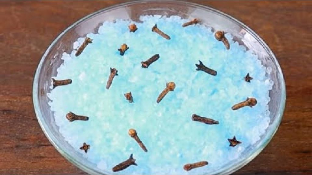 Com apenas 2 ingredientes, você consegue deixar o ambiente com cheiro de casa de rico