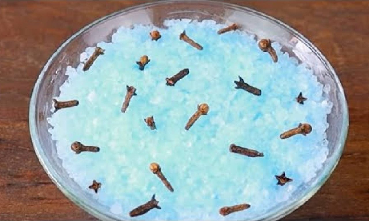 Com apenas 2 ingredientes, você consegue deixar o ambiente com cheiro de casa de rico