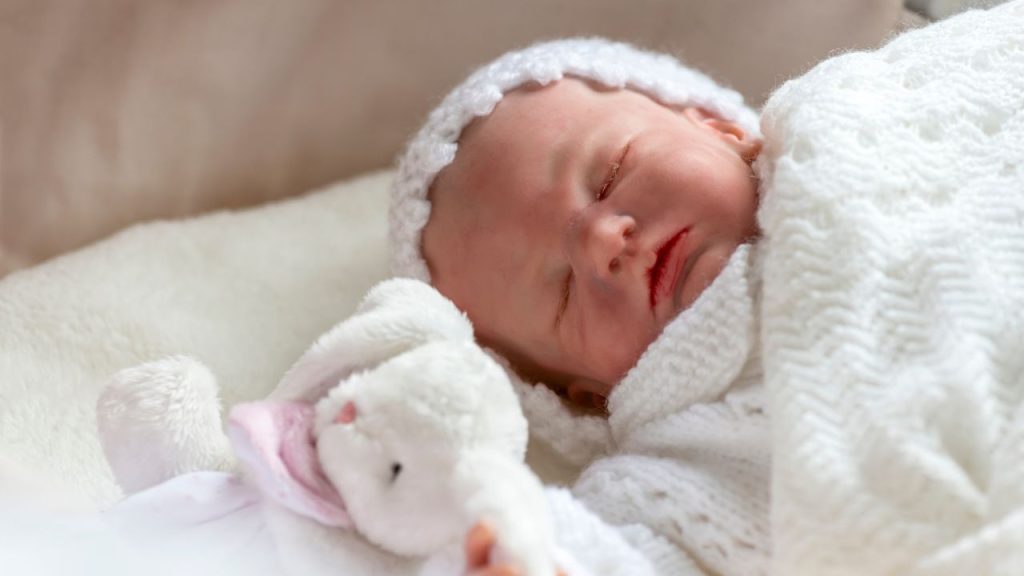 Bebê reborn foi o centro da disputa. (Foto: Canva)