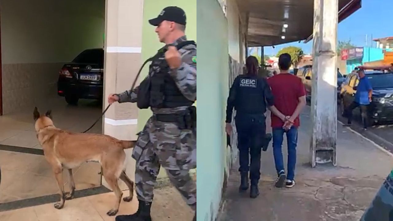 Vídeo: cães ajudam polícia a prender traficantes em Anápolis