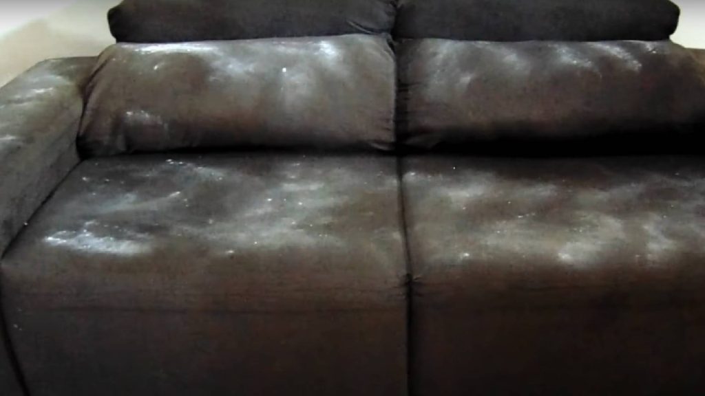 6 truques práticos para acabar com o cheiro ruim do sofá e deixá-lo como novo