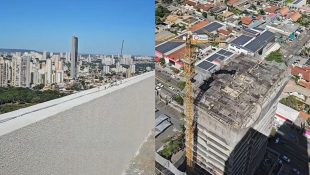 Cena dos cabeças brancas foi vista em construções de Goiânia. (Foto: Reprodução/TikTok)
