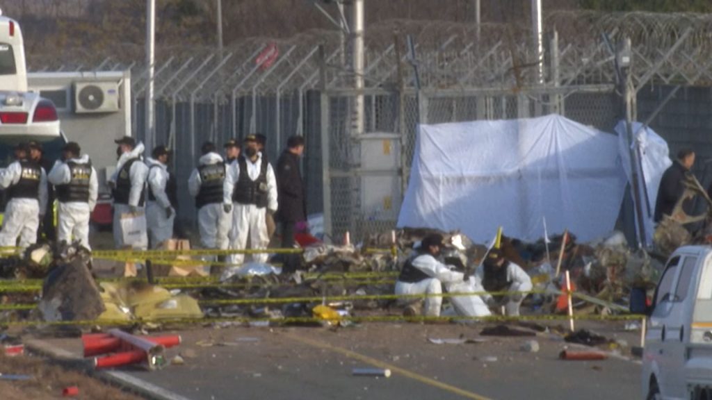 Avião caiu em área montanhosa.