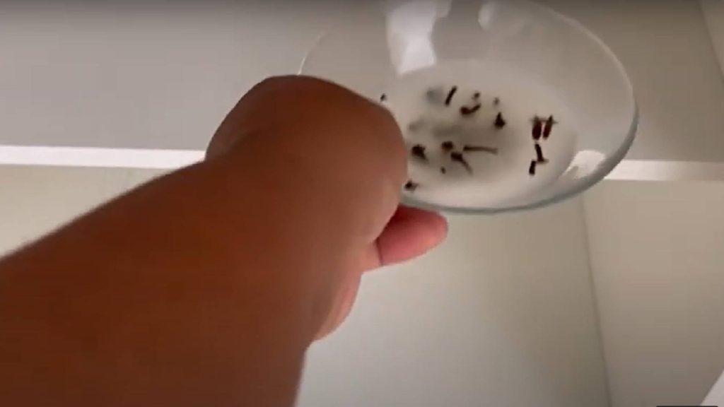 O segredo das donas de casa para manter a cozinha sempre cheirosa