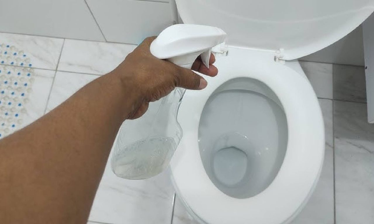 6 truques que toda dona de casa deveria conhecer para deixar o banheiro limpinho e brilhando