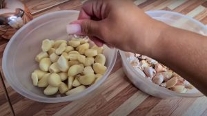 É por isso que muitas donas de casa estão colocando dentes de alho nas plantas do jardim