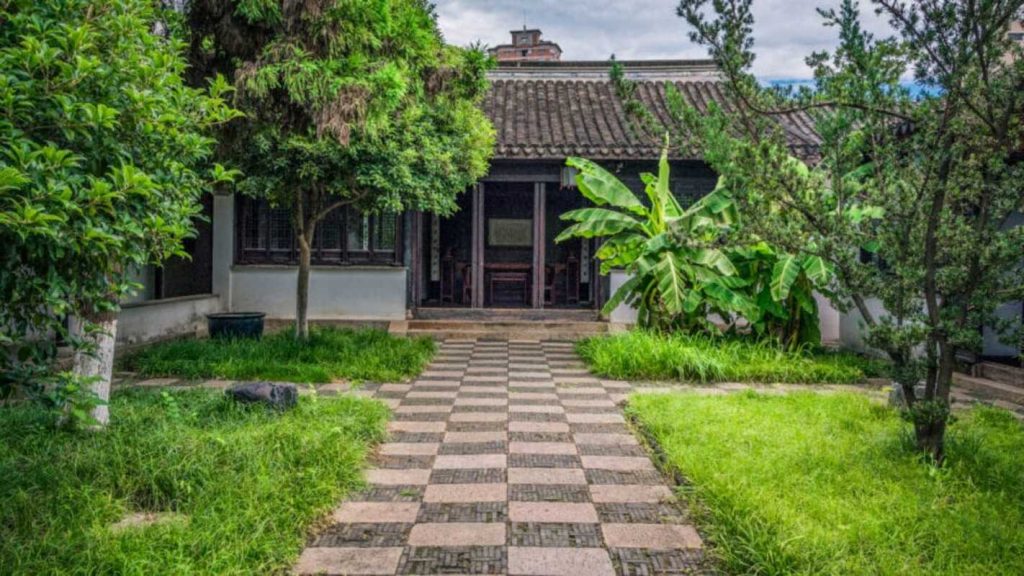 Planta que afasta energias negativas e protege a sua casa