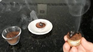 6 truques para evitar insetos em casa sem usar produtos químicos