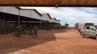 Acidente aconteceu durante treinamento militar do Exército.