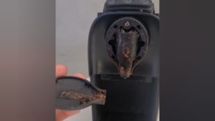 Aviso importante para todo mundo que tem uma cafeteira em casa