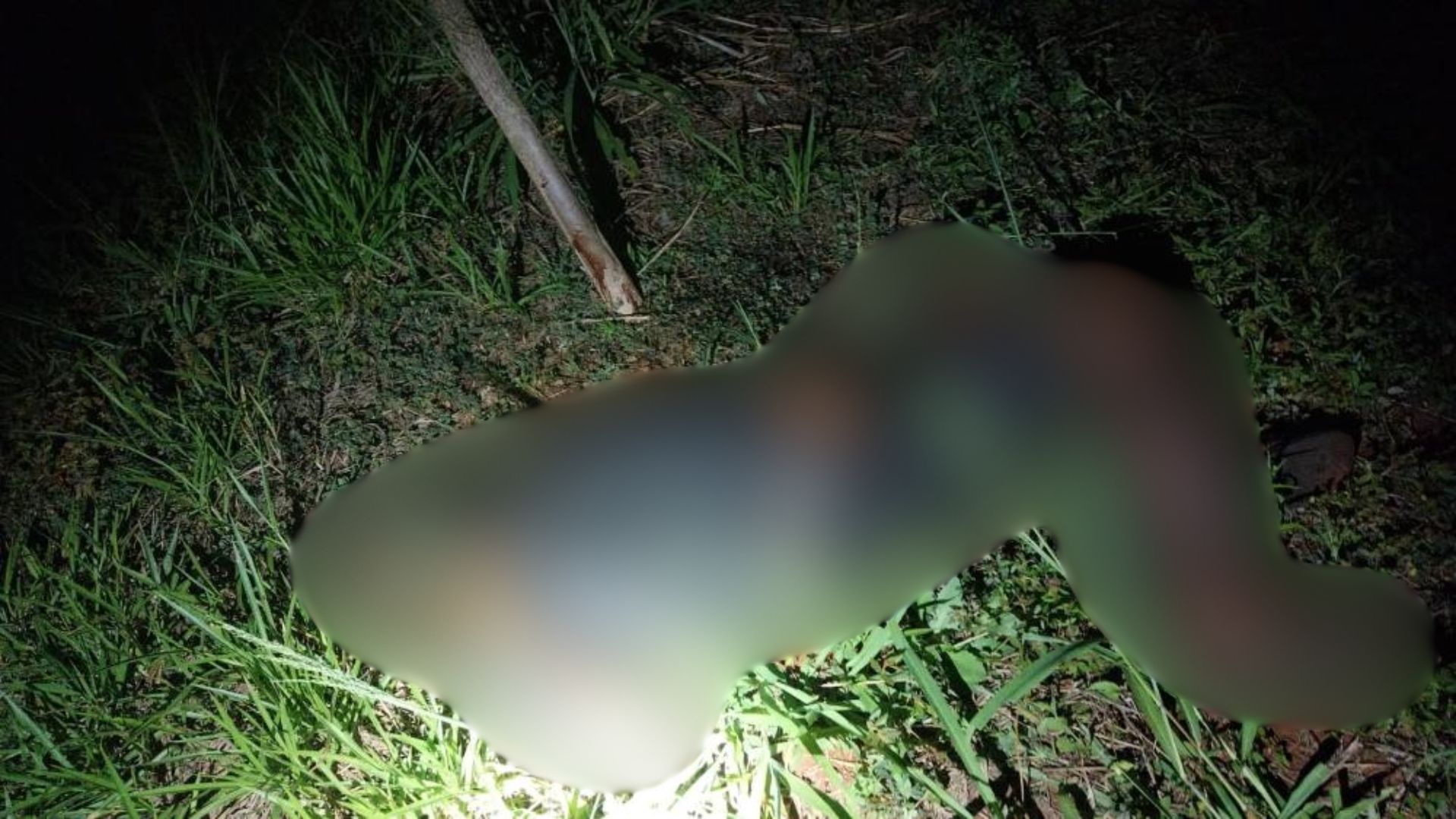 Homem é encontrado morto em lote baldio de Goiânia
