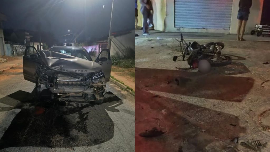 Garupa morreu após ser atropelada. (Foto: Reprodução)