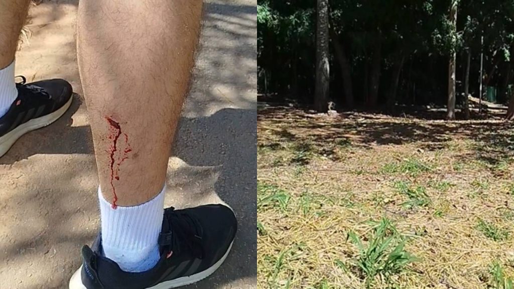 Central Parque Senador Onofre Quinan