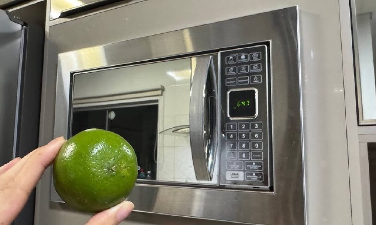 Essa é a maneira correta de limpar o micro-ondas para evitar que ele estrague