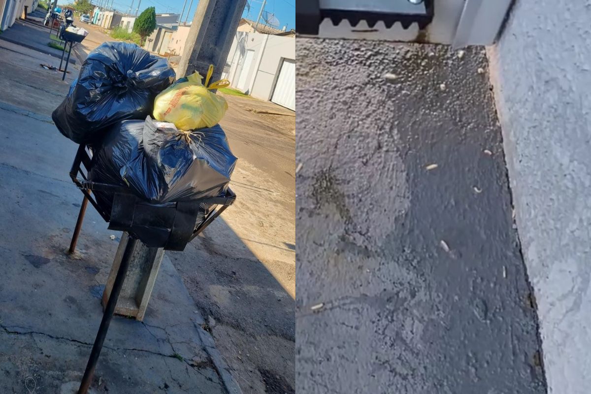 Sujeira, fedor e larvas: moradores do Jardim Primavera cobram Prefeitura por coleta de lixo adequada