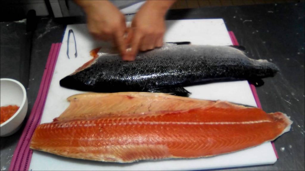 Peixe ‘mais perigoso do mundo’ pode conter mais de 70 parasitas e você deve tomar cuidado