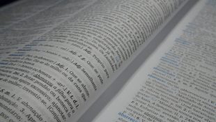 As 10 palavras mais bonitas da língua portuguesa e seu significado