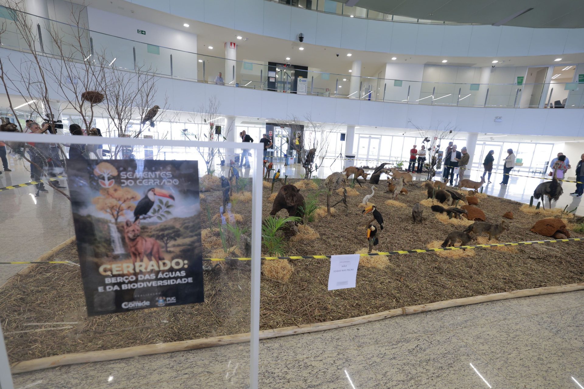 Exposição sobre o Cerrado é um convite à reflexão sobre o papel fundamental de cada ser na manutenção do equilíbrio ecológico.