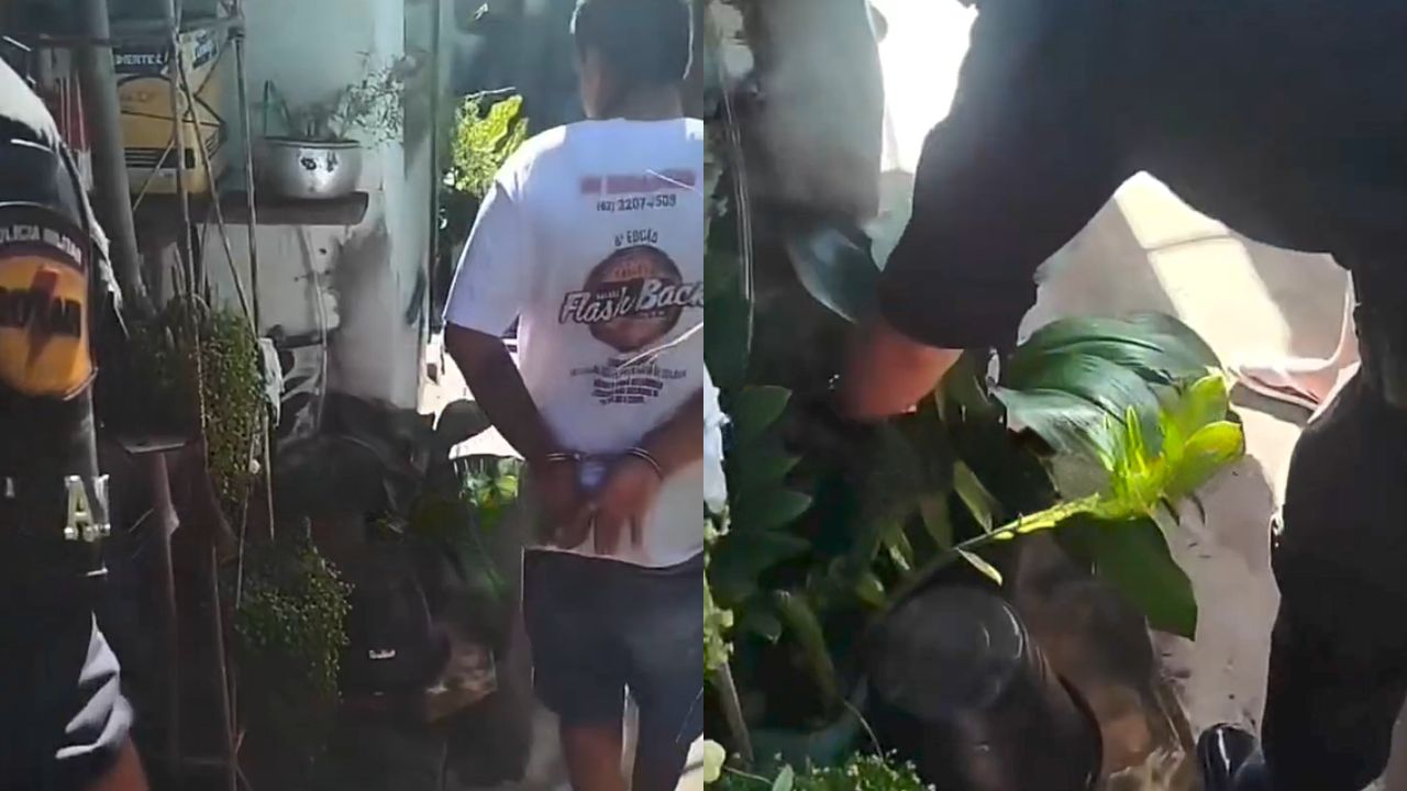 Assaltante dos gêmeos escondeu celulares em vaso de plantas. (Foto: Reprodução/Redes Sociais)