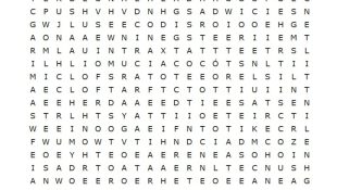 Desafio: mostre que você é perspicaz e encontre “HISTÓRIA” e “AVENTURA” em apenas 15 segundos