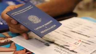 Carteira de Trabalho em processo seletivo. (Foto: Divulgação/Prefeitura de Aparecida de Goiânia)