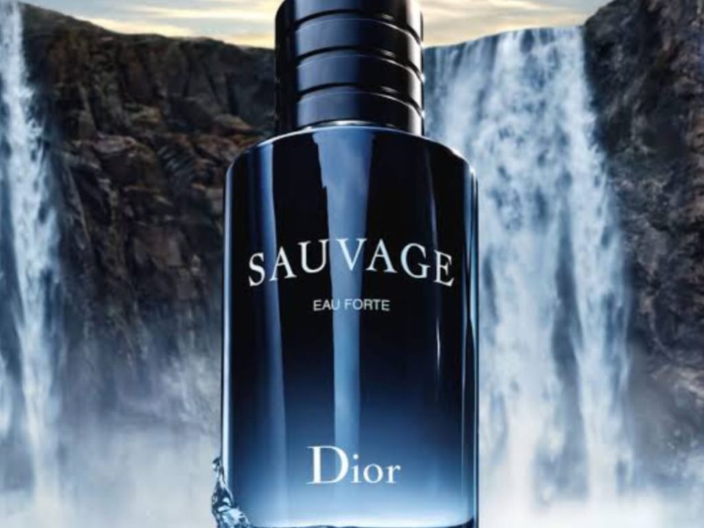 6 perfumes masculinos queridinhos dos famosos que você deve colocar agora na lista