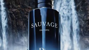 6 perfumes masculinos queridinhos dos famosos que você deve colocar agora na lista