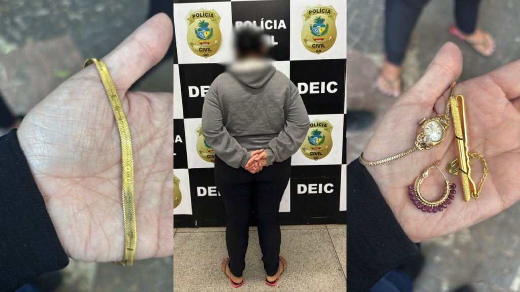 Empregada doméstica furtava itens dos patrões. (Foto: Divulgação/PC)