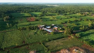 Conheça uma das maiores fazendas leiteiras do Brasil que está à venda e atraindo investidores internacionais