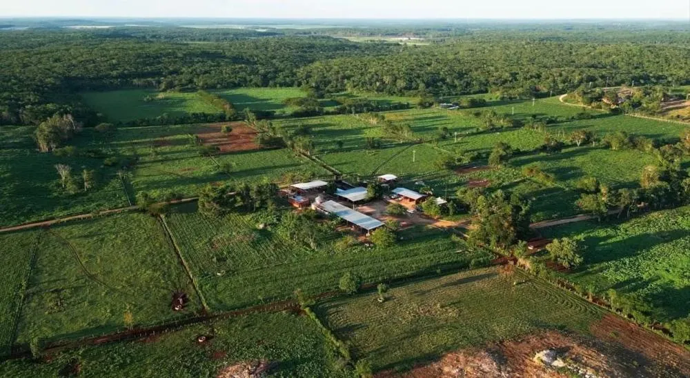 Conheça uma das maiores fazendas leiteiras do Brasil que está à venda e atraindo investidores internacionais