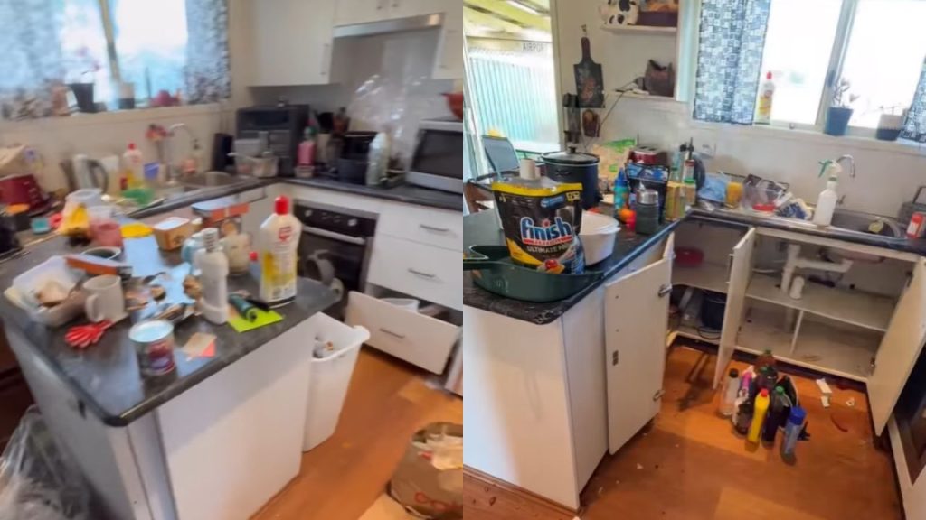 Jovem de 21 anos está ganhando R$ 50 mil por mês com trabalho ignorado por muitos com a idade dela