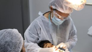 Pessoas com autismo e TDAH podem ter atendimento odontológico gratuito em Goiás; veja como