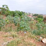 Parque da Liberdade antes