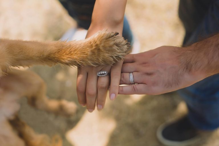 Para quem vive a missão de proteger os animais, o amor tem um significado ainda mais profundo.