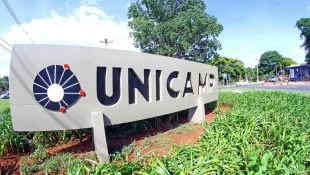 Unicamp está com inscrições abertas para cursos gratuitos e à distância