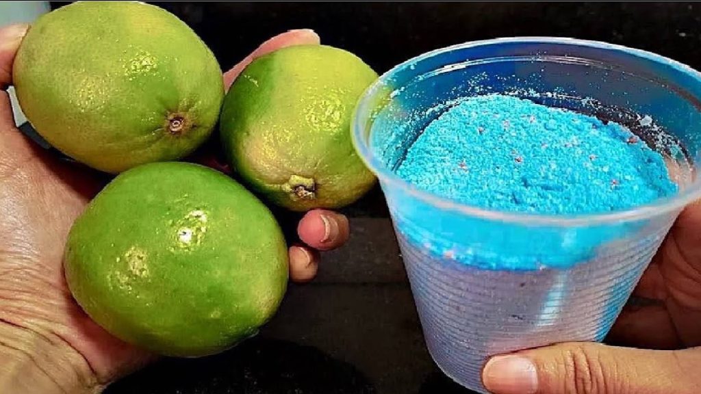 Nem cloro, nem água sanitária: veja como deixar o chão do banheiro brilhando