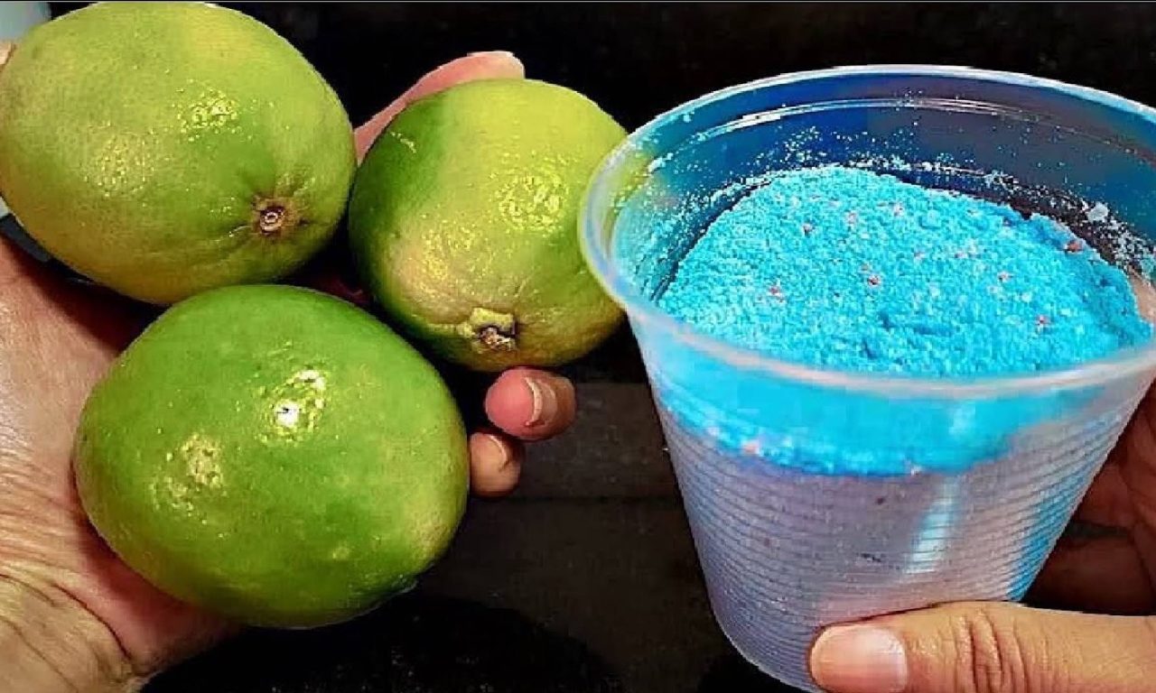 Nem cloro, nem água sanitária: veja como deixar o chão do banheiro brilhando
