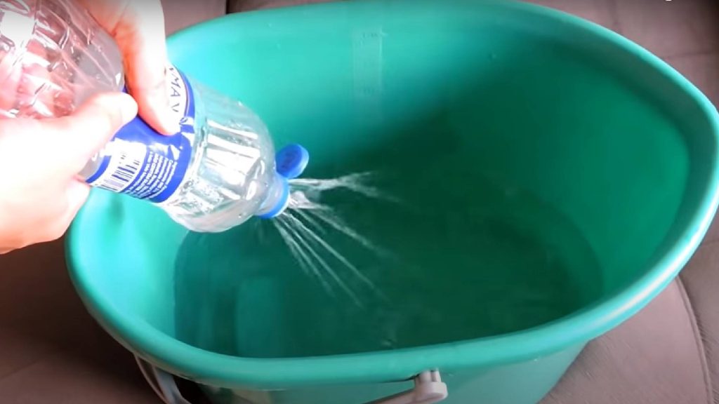 Como eliminar o cheiro de xixi de gato com técnicas simples e eficazes