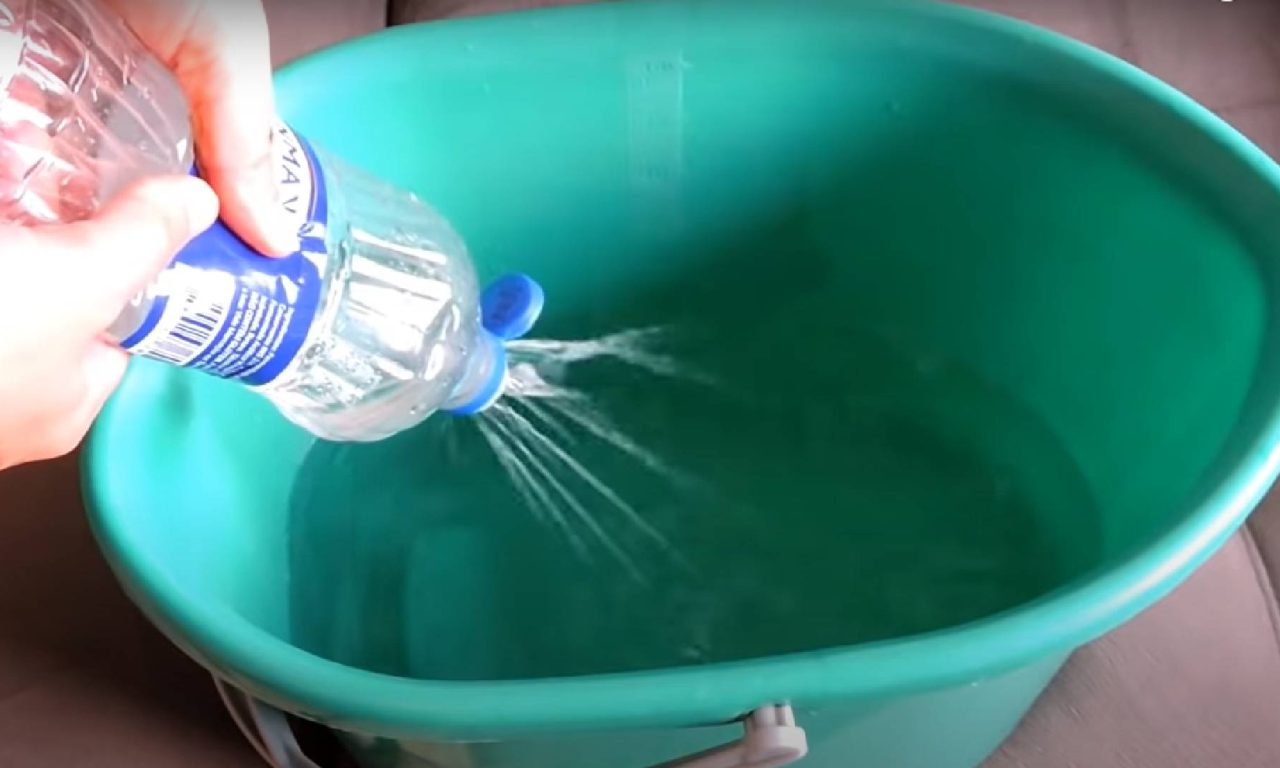 Como eliminar o cheiro de xixi de gato com técnicas simples e eficazes