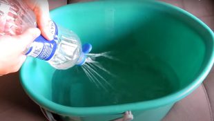 Como eliminar o cheiro de xixi de gato com técnicas simples e eficazes