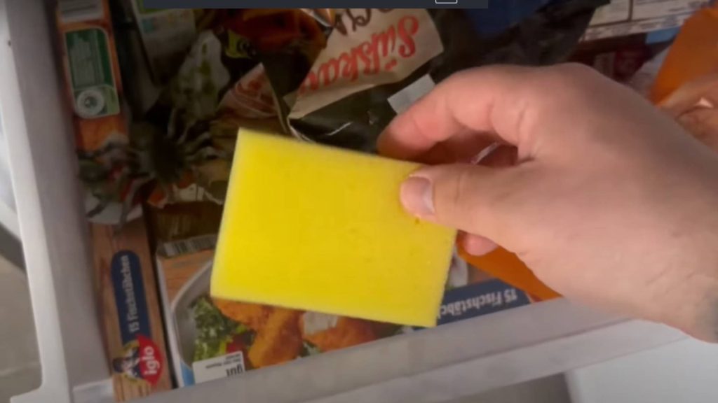 Descubra por que muitas donas de casa estão colocando a esponja no congelador