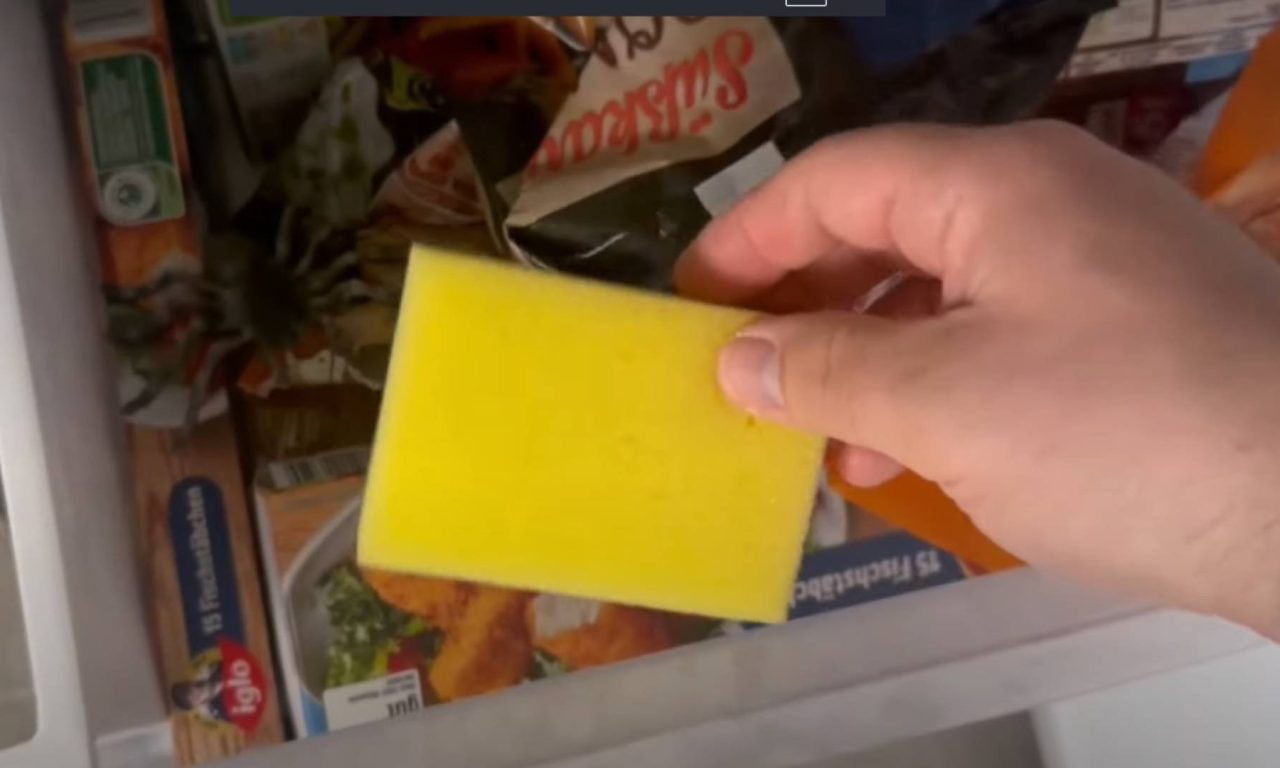 Descubra por que muitas donas de casa estão colocando a esponja no congelador