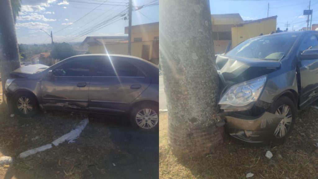 Motorista acabou colidindo com uma palmeira durante a fuga.