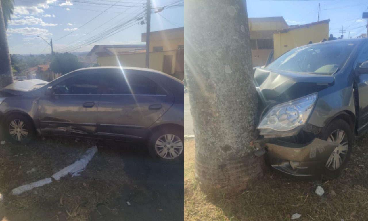 Motorista acabou colidindo com uma palmeira durante a fuga.