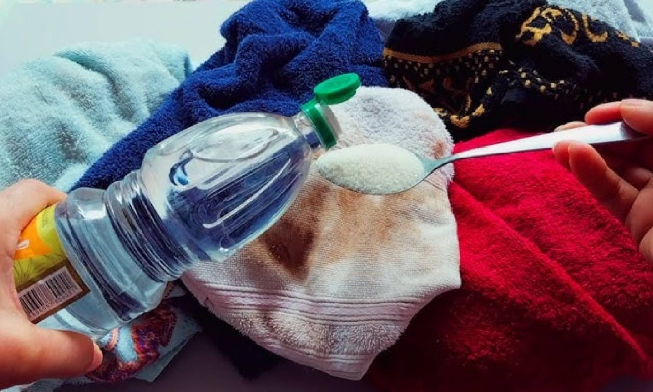 Como remover o mofo das toalhas de forma simples e fácil