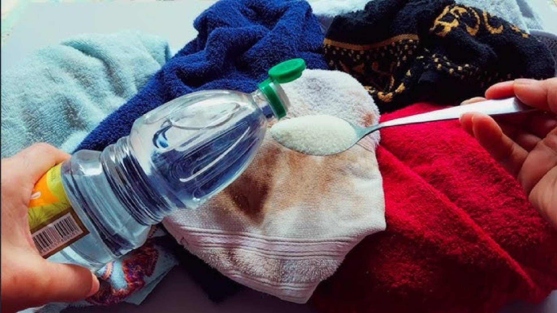 Como remover o mofo das toalhas de forma simples e fácil