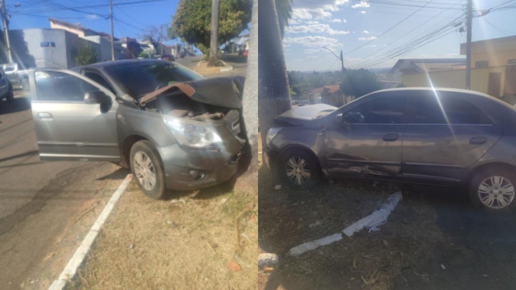 Carro acabou colidindo com uma palmeira.
