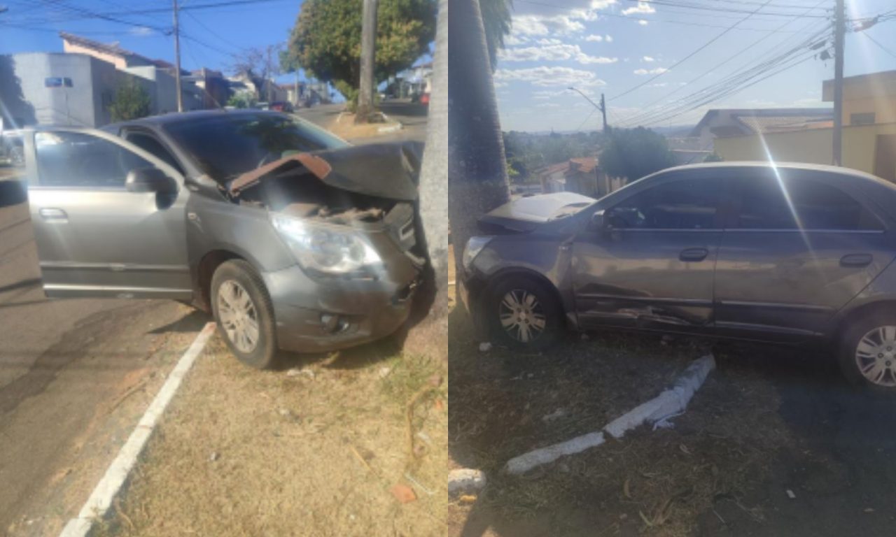 Carro acabou colidindo com uma palmeira.